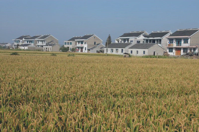 Home environment before relocation